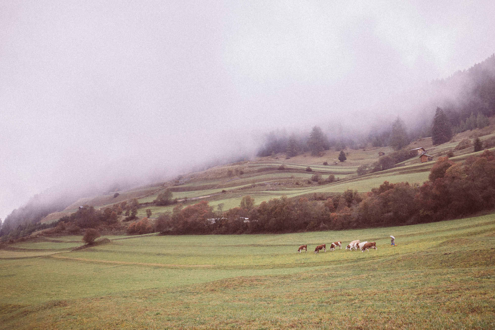 Export x3 5D4 0225 Fotoshooting 2018 Annette & Mike Nauders 4